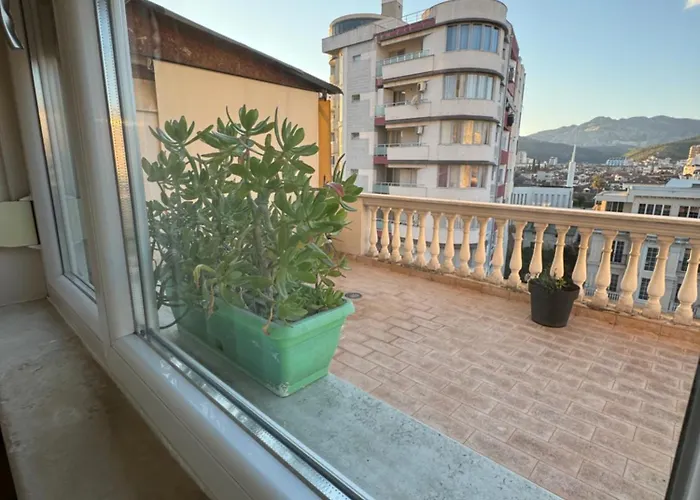 Basilico * אלבסאן